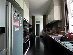Belle Vue Residences (D9), Condominium #502274181